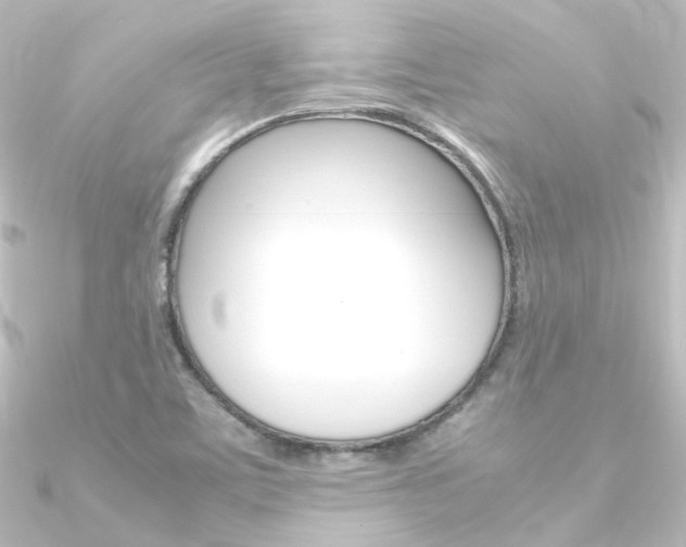 X0000090961459200708021112