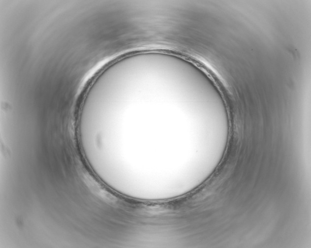 X0000090961460200708021112