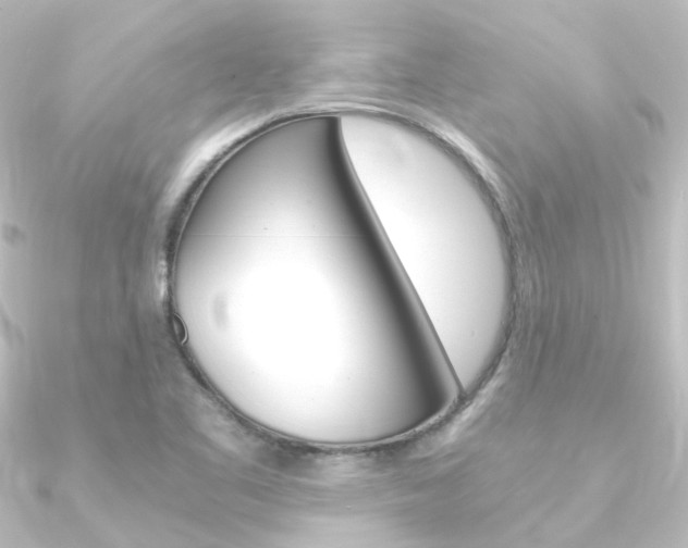 X0000090961461200708021112