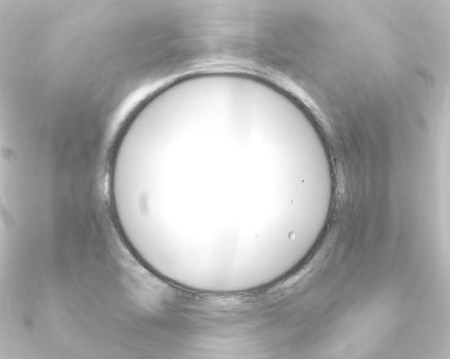 X0000090961462200708021112