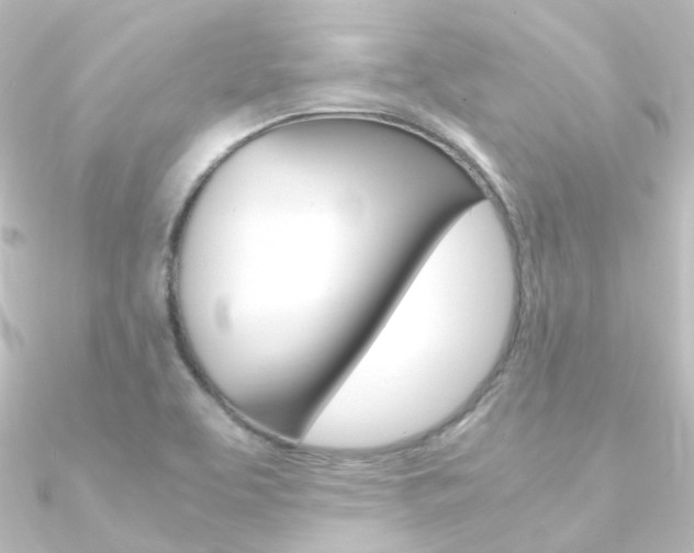 X0000090961463200708021112
