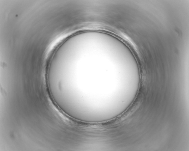 X0000090961464200708021112