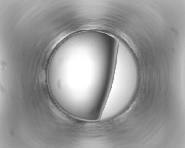 X0000090961465200708021112