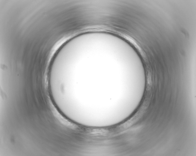 X0000090961466200708021112