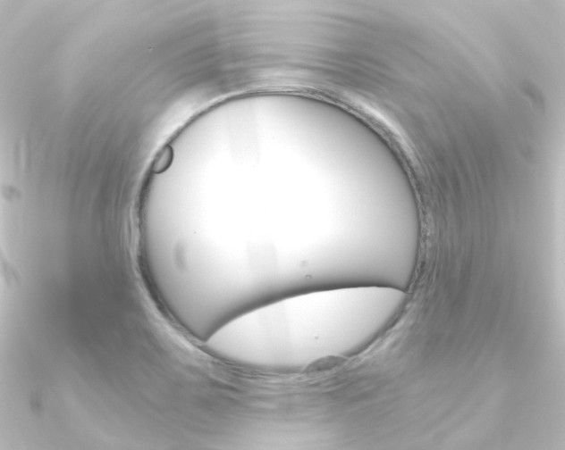 X0000090961467200708021112