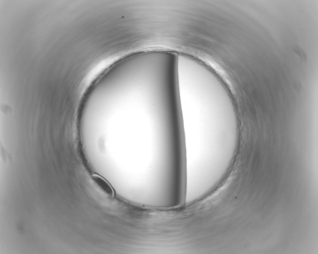 X0000090961469200708021112