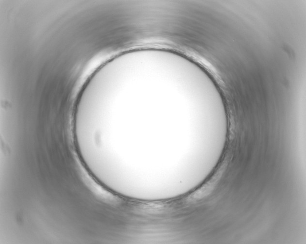 X0000090961470200708021112