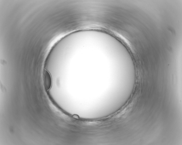 X0000090961471200708021112
