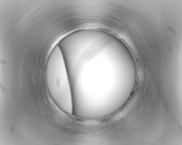 X0000090961473200708021112