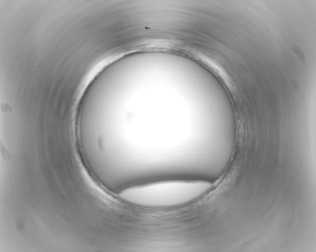 X0000090961475200708021112