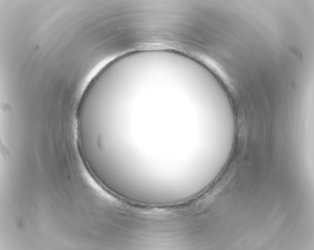 X0000090961476200708021112