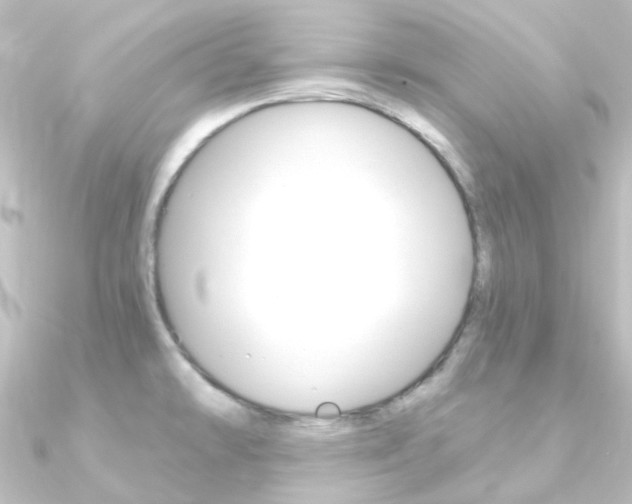 X0000090961478200708021112
