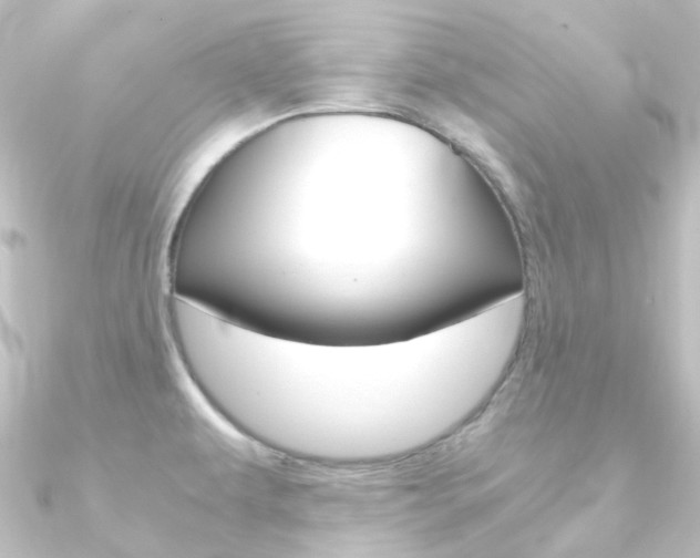X0000090961479200708021112