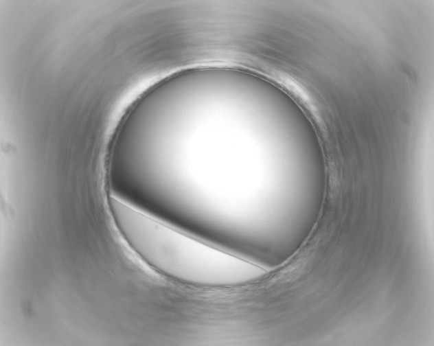 X0000090961480200708021111
