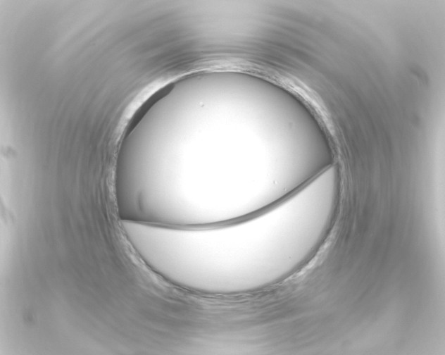 X0000090961481200708021111