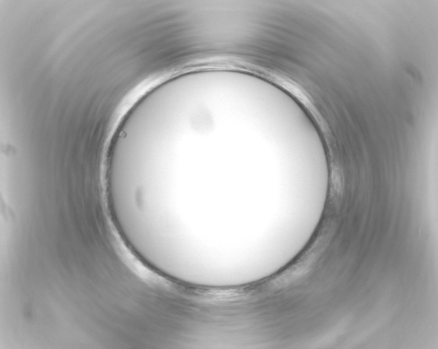 X0000090961482200708021111