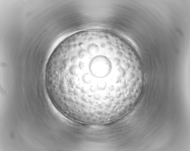 X0000090961483200708021111