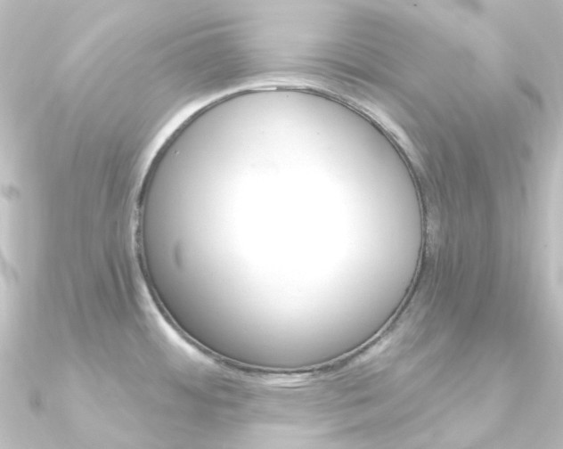 X0000090961484200708021111