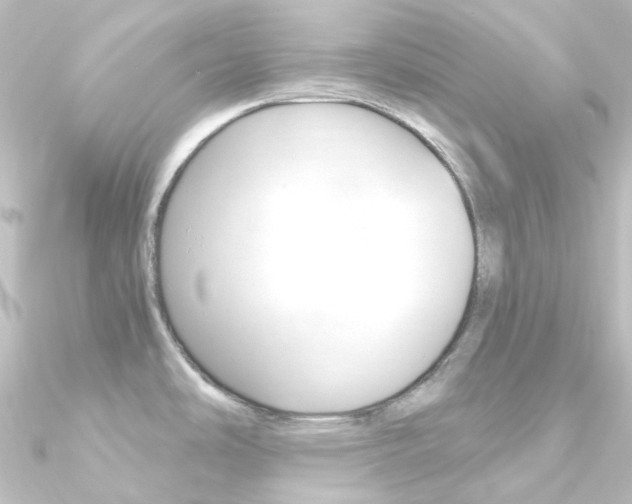X0000090961486200708021111