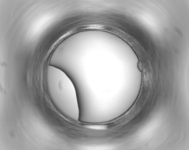 X0000090961487200708021111