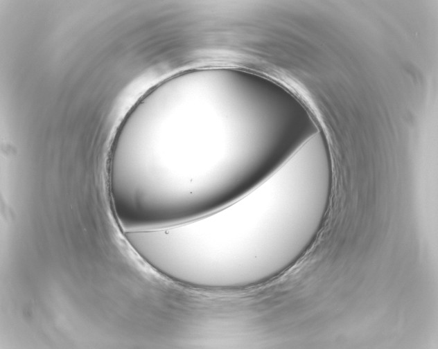 X0000090961488200708021111