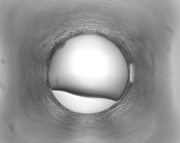 X0000090961491200708021111