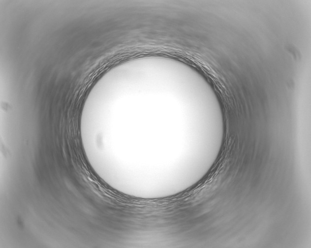 X0000090961492200708021111