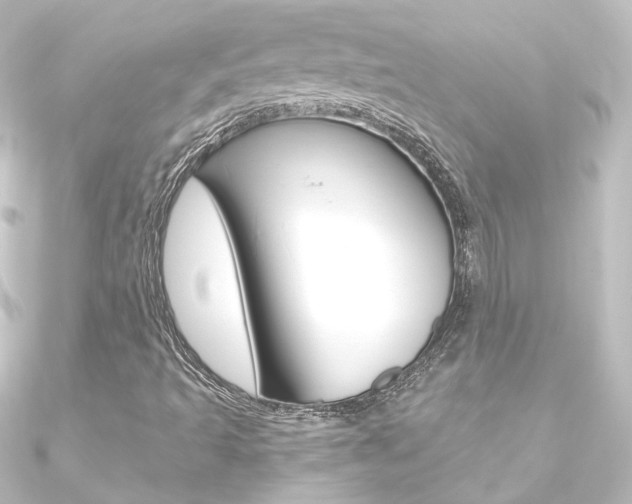 X0000090961493200708021111