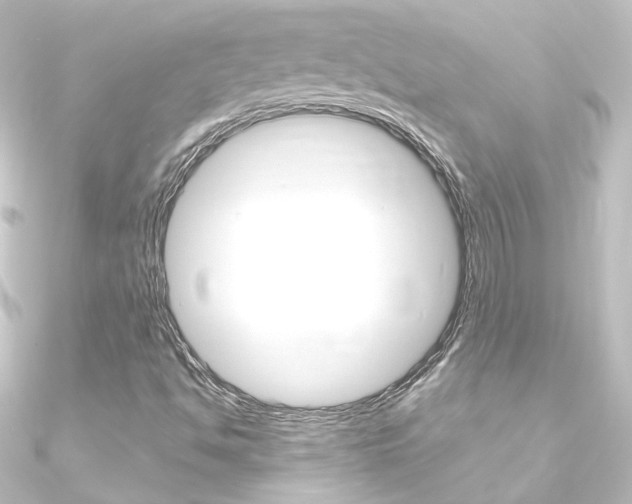 X0000090961494200708021111