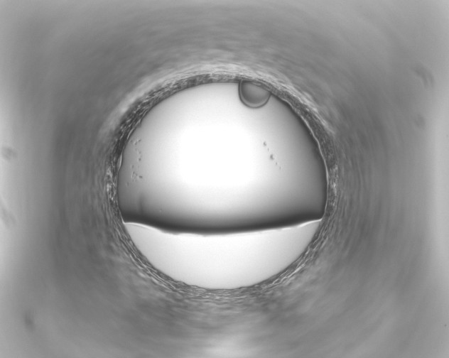 X0000090961495200708021111