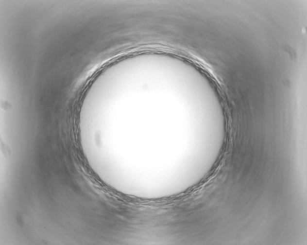 X0000090961496200708021111