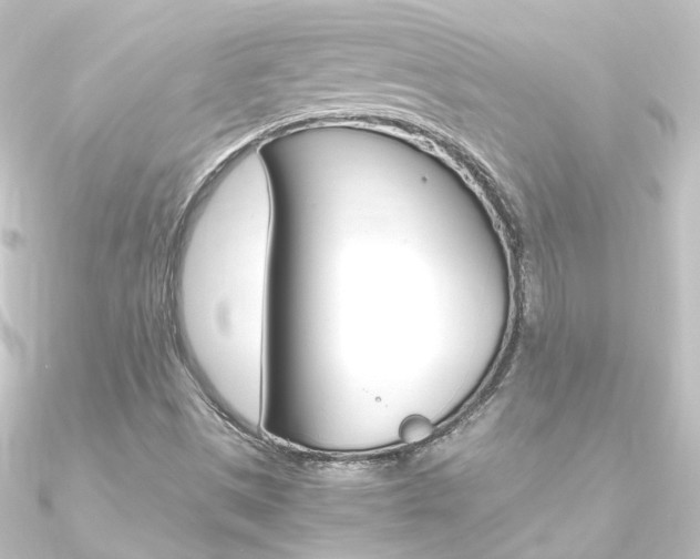 X0000090961497200708021111
