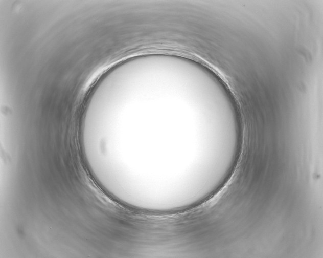 X0000090961498200708021111