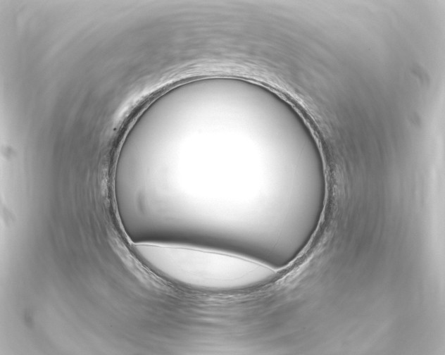 X0000090961499200708021111