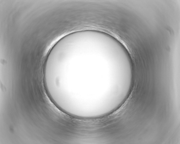 X0000090961500200708021111