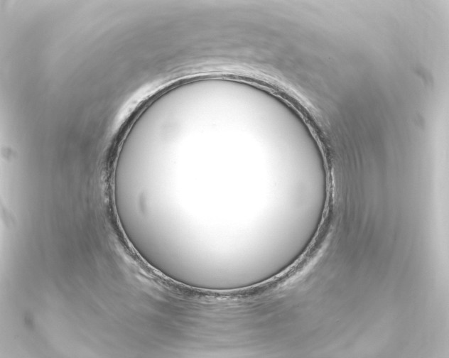 X0000090961501200708021111