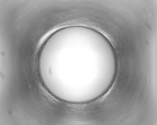 X0000090961502200708021111