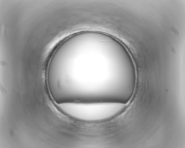 X0000090961503200708021111