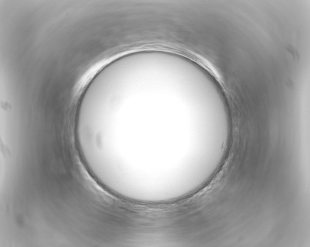 X0000090961504200708021111