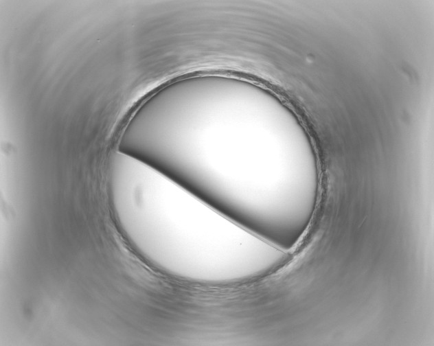 X0000090961505200708021111