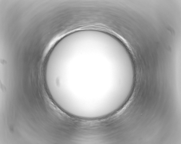 X0000090961506200708021111