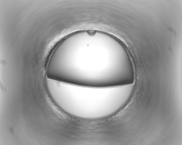 X0000090961507200708021111