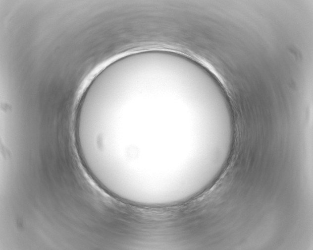 X0000090961508200708021111