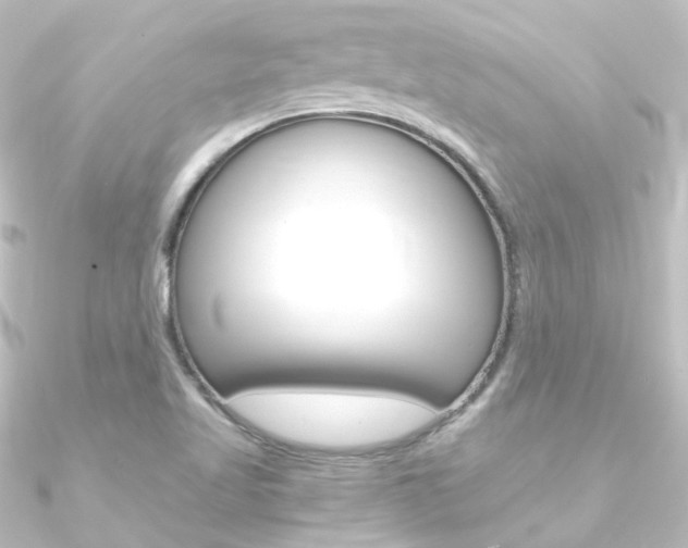 X0000090961509200708021111