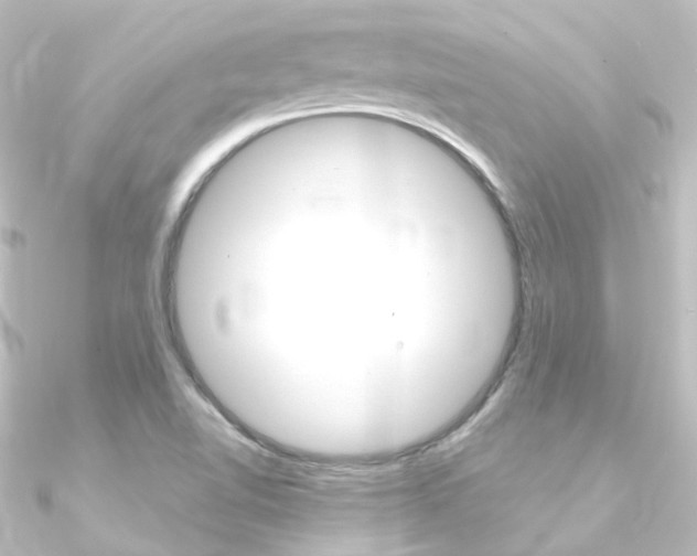 X0000090961510200708021111