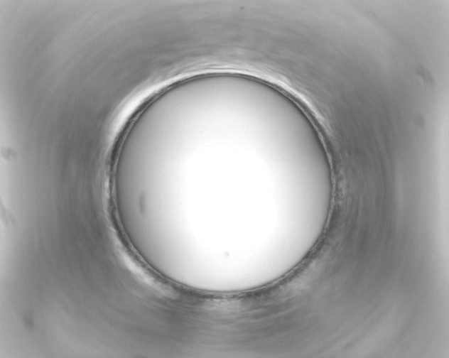 X0000090961511200708021111