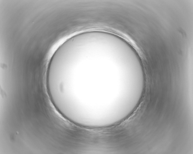 X0000090961512200708021111