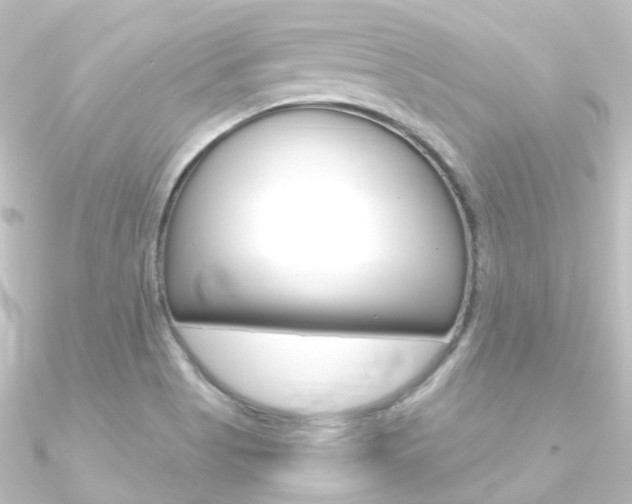 X0000090961513200708021111