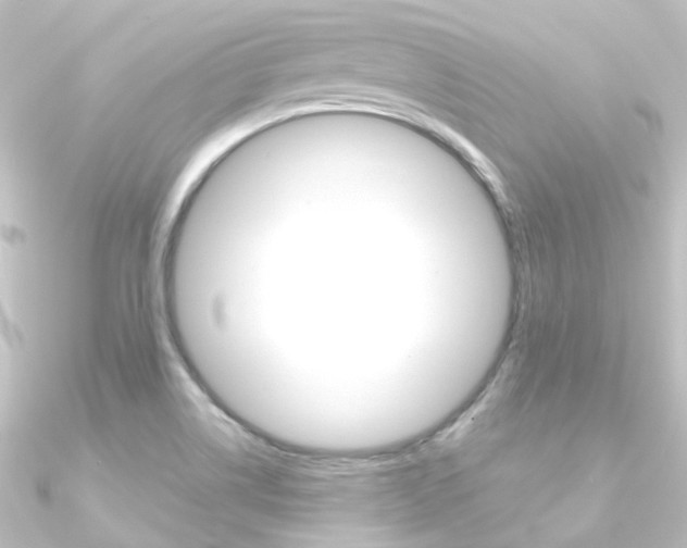 X0000090961514200708021111