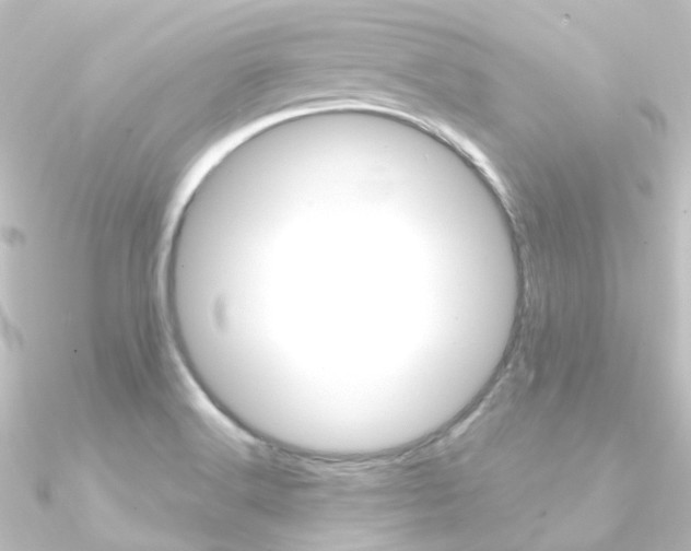 X0000090961516200708021111